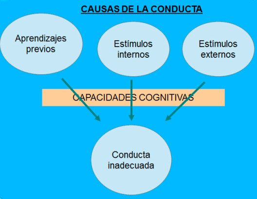 conducta