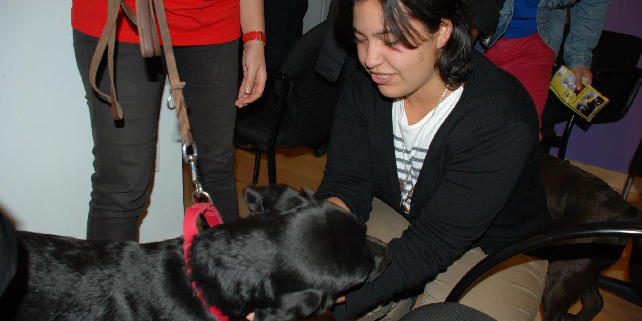 terapia con animales