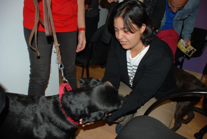 terapia con animales