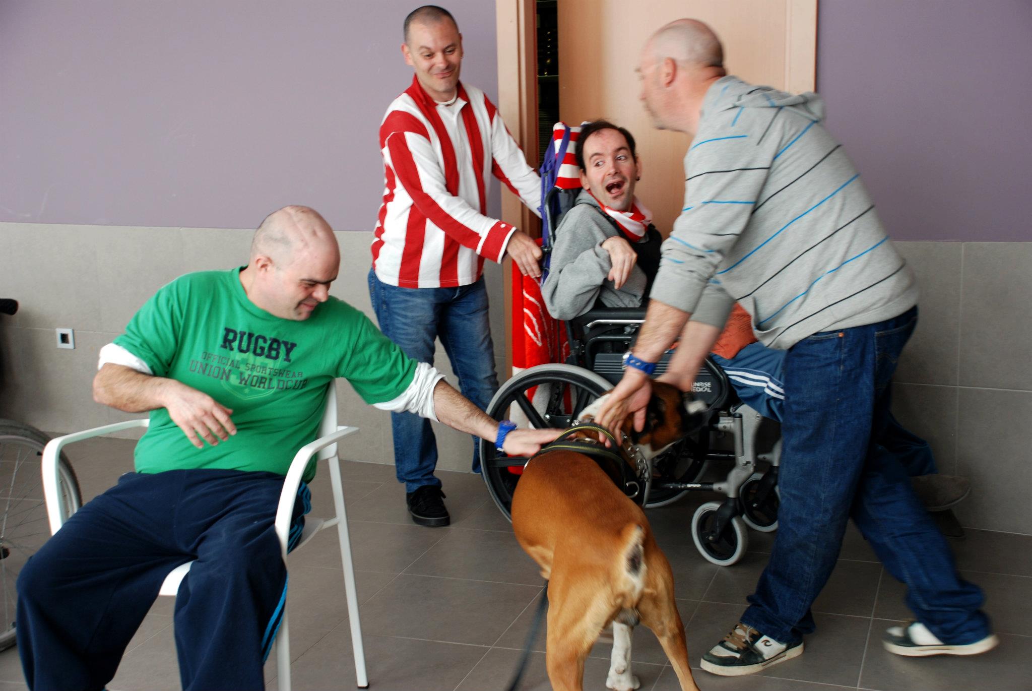 Sergio Argul, voluntario en actividades asistidas con animales