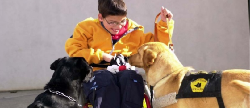 Perros de asistencia, ayuda técnica y apoyo para las personas con discapacidad