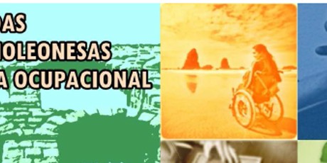 IV Jornadas castellano leonesas de terapia ocupacional IV Jornadas castellano leonesas de terapia ocupacional