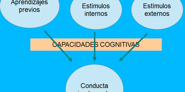 conducta