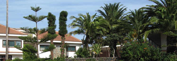El Complejo Acamán organiza en Tenerife una jornada de sensibilización sobre el DCA