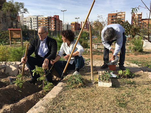 Huerto Valencia