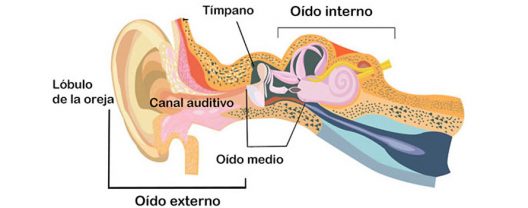 rehabilitación vestibular