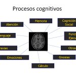 Las pruebas y test neuropsicológicos para evaluación de limitaciones cognitivas