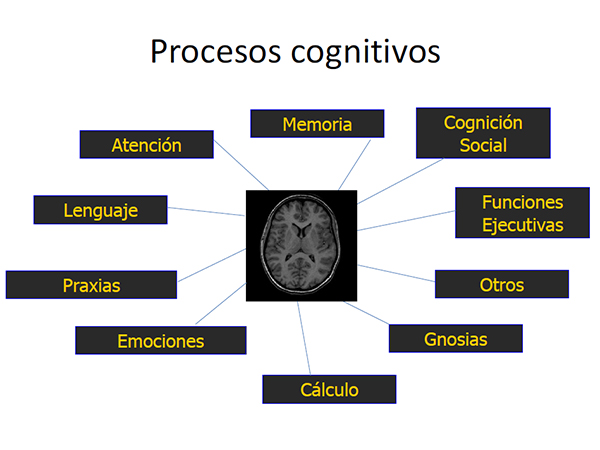 Las pruebas y test neuropsicológicos para evaluación de limitaciones cognitivas