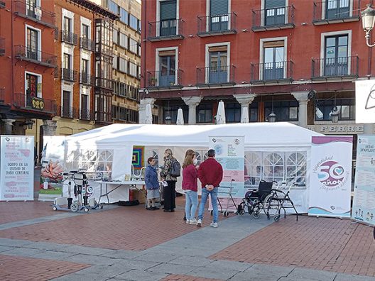 Carpa Valladolid Día DCA