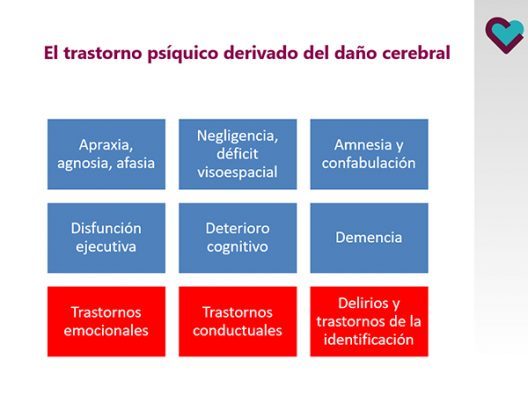 El trastorno psíquico derivado del daño cerebral