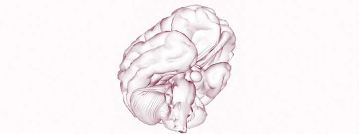 Sexualidad-y-danio-cerebral